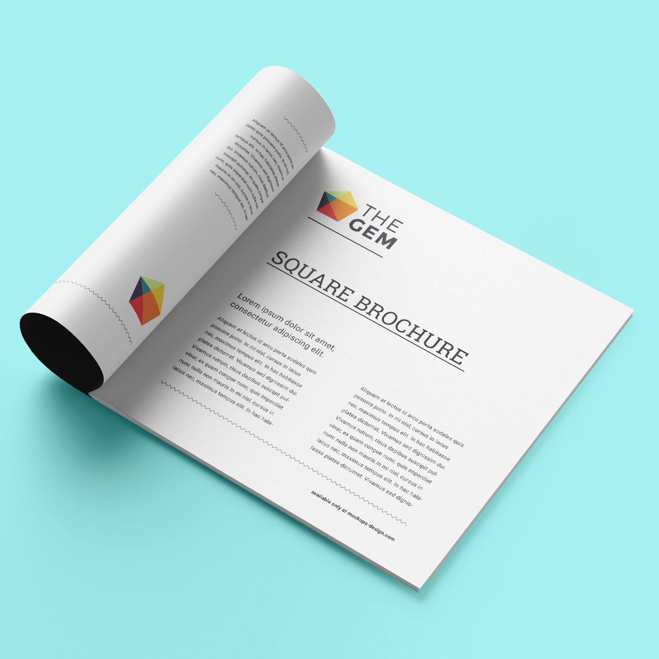 ÇALIŞMA ALANLARIMIZ